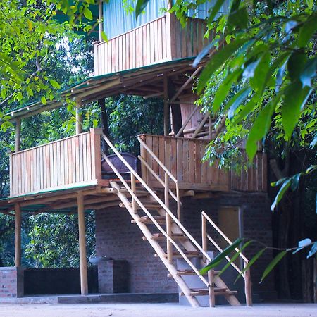 Forest Tree Top Holiday Resort Buttala Zewnętrze zdjęcie