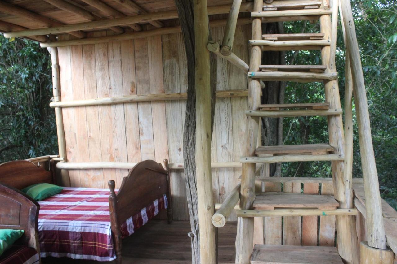 Forest Tree Top Holiday Resort Buttala Zewnętrze zdjęcie