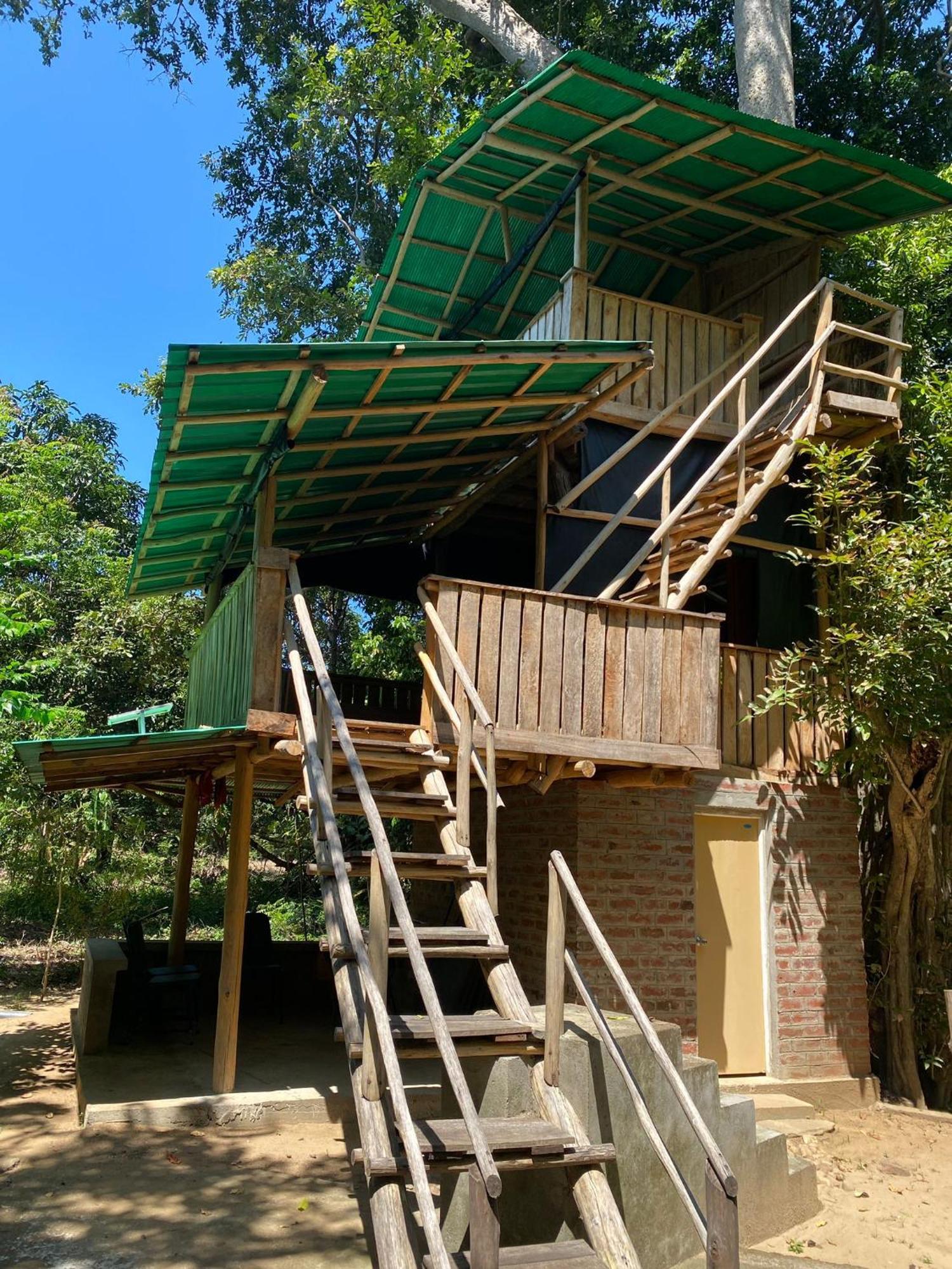 Forest Tree Top Holiday Resort Buttala Zewnętrze zdjęcie